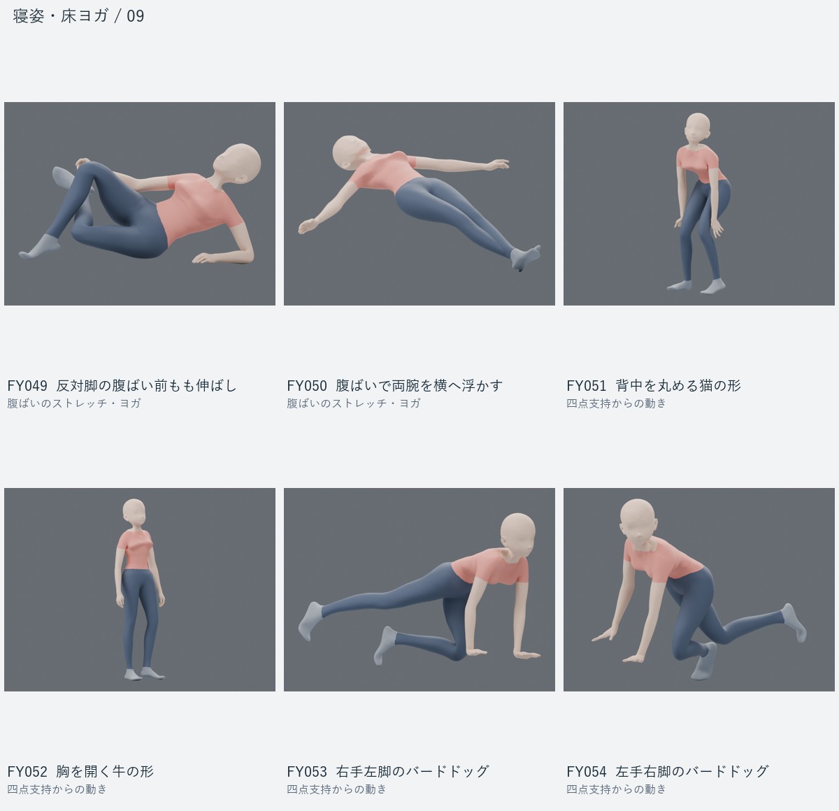 FY049 反対脚の腹ばい前もも伸ばし、FY050 腹ばいで両腕を横へ浮かす、FY051 背中を丸める猫の形、FY052 胸を開く牛の形、FY053 右手左脚のバードドッグ、FY054 左手右脚のバードドッグ